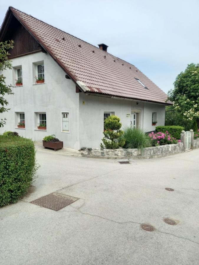 Apartmaji Magda Appartement Zgornje Gorje Buitenkant foto